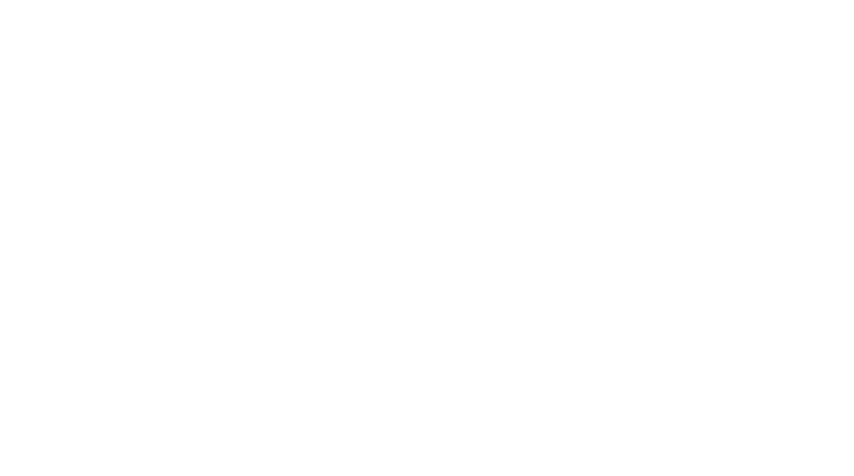 TN Valley Guns Logo Vert White