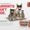 Hornady 8337 Varmint Express 22 250Rem 55gr Hornady V Max 20 Per Box 2