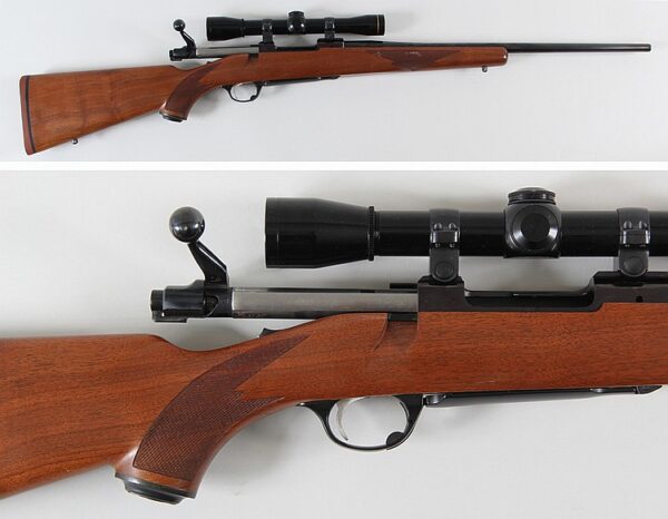 Ruger M77 243 Win 1