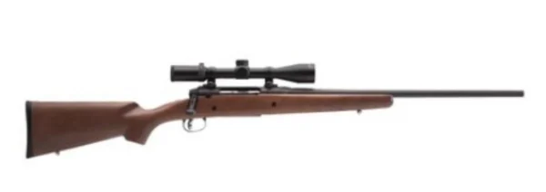 Savage Arms Axis 308 1