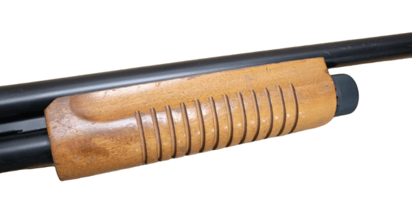 wva019 8