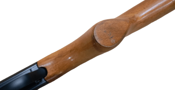 wva019 9