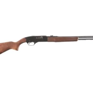 WINCHESTER 190 .22 LONG RIFLE 1